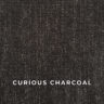 curious_charcoal