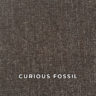 curious_fossil