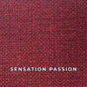 sensation_passion
